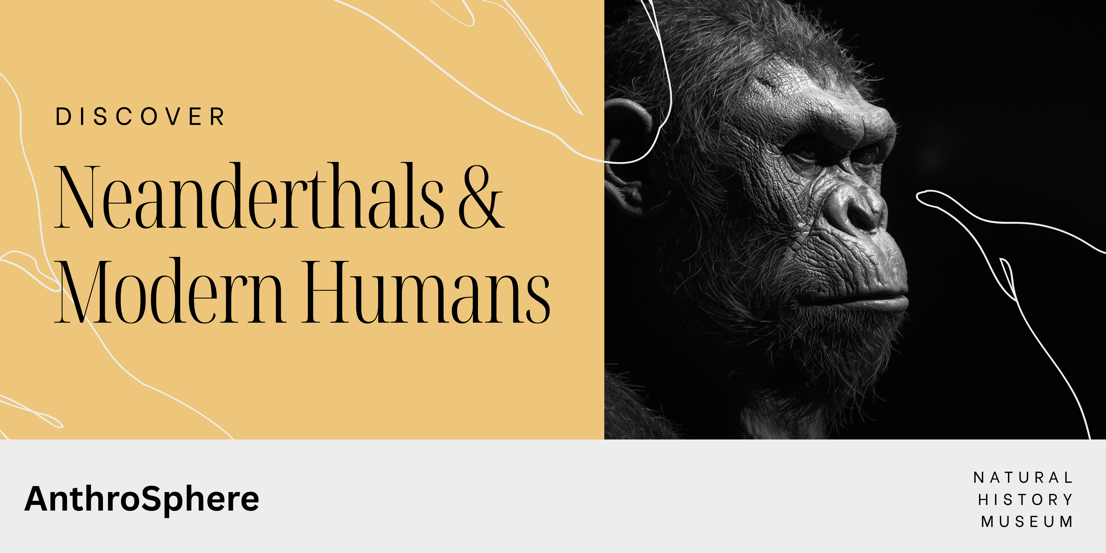 Neanderthals and Modern Humans: The Deep Story of Our Shared Evolution